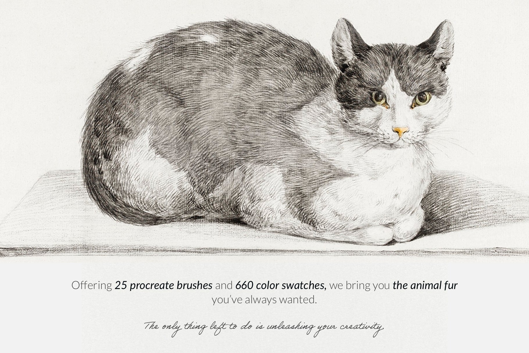 Animal Fur Procreate Kit