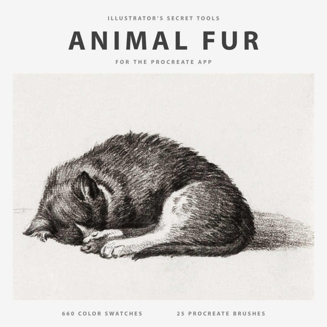 Animal Fur Procreate Kit