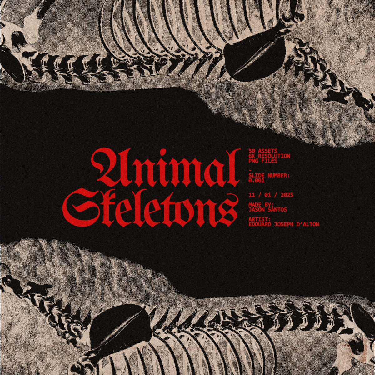 Animal Skeletons Asset Pack (Vol.1) by Jason Santos, preview 1