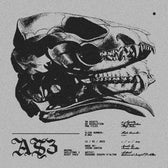 Animal Skeletons Asset Pack (Vol.3)