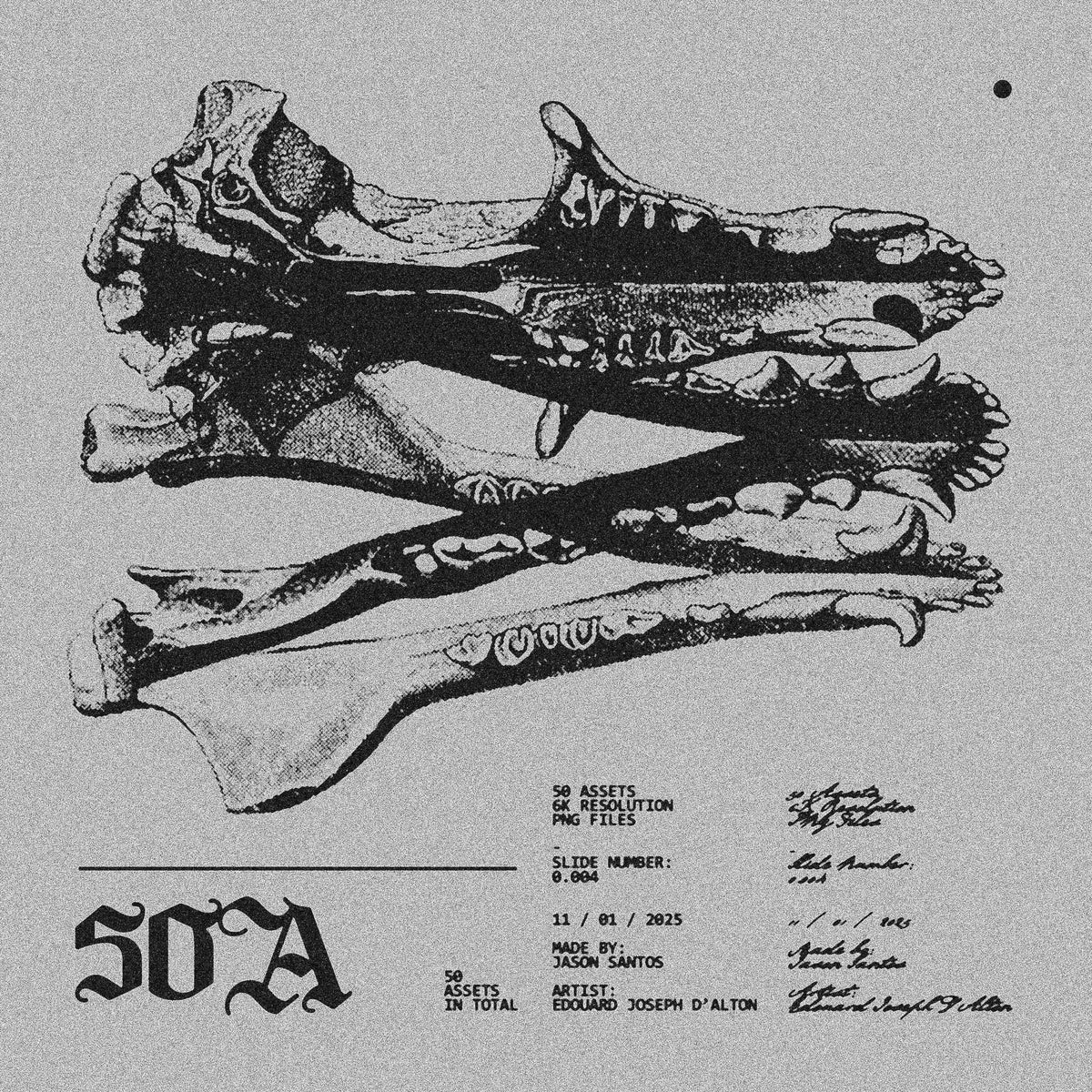 Animal Skeletons Asset Pack (Vol.3) by Jason Santos, preview 5