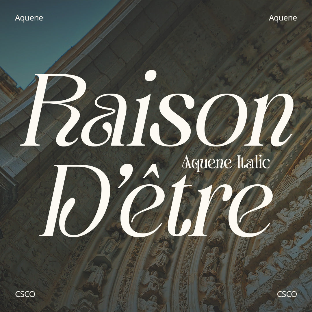 aquene-display-serif-craft-supply-co-2.jpg