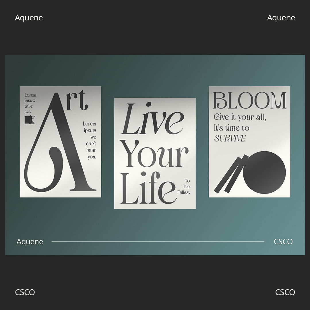 aquene-display-serif-craft-supply-co-3.jpg