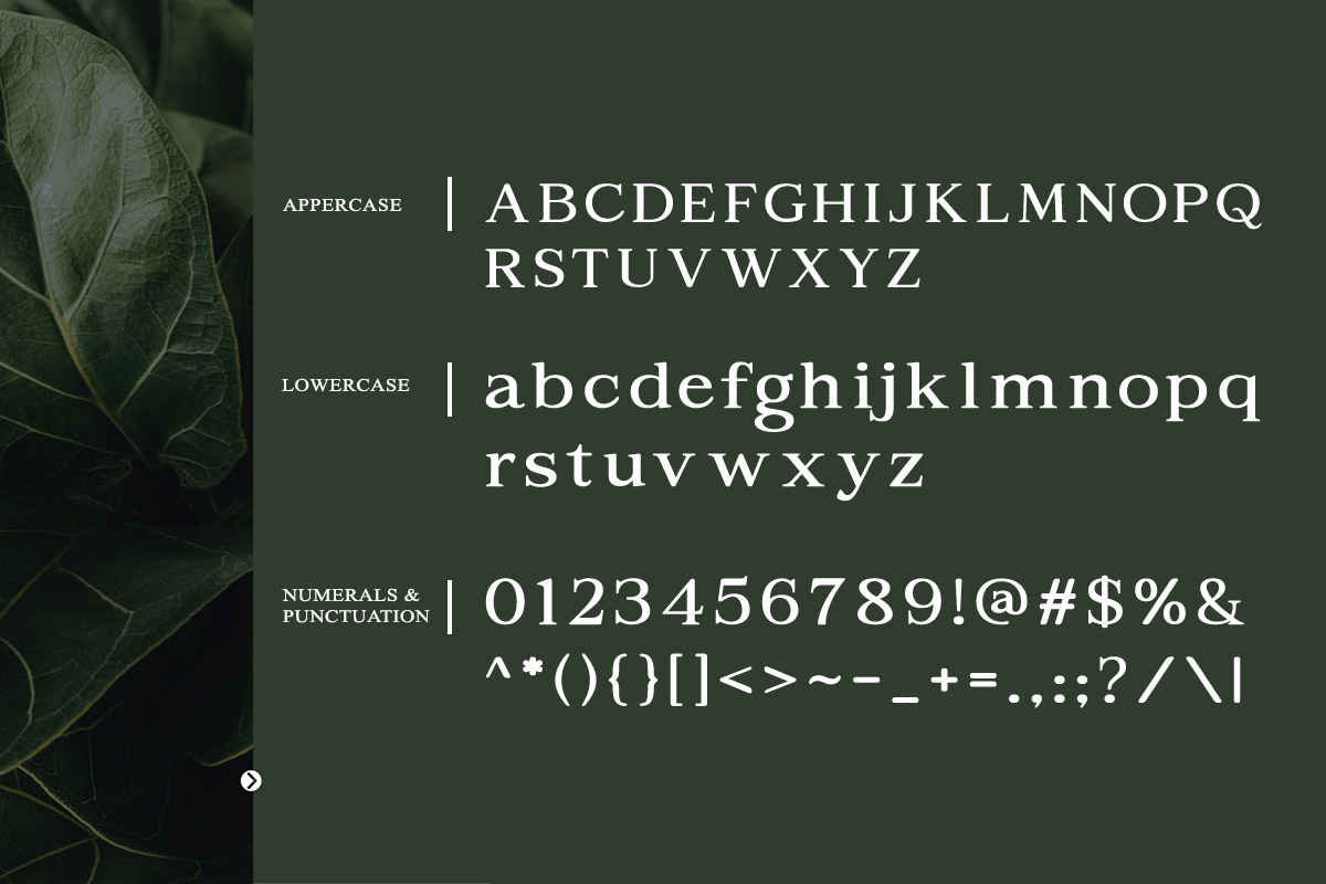 aragusha-modern-decorative-serif-font-rasio-std-2.png