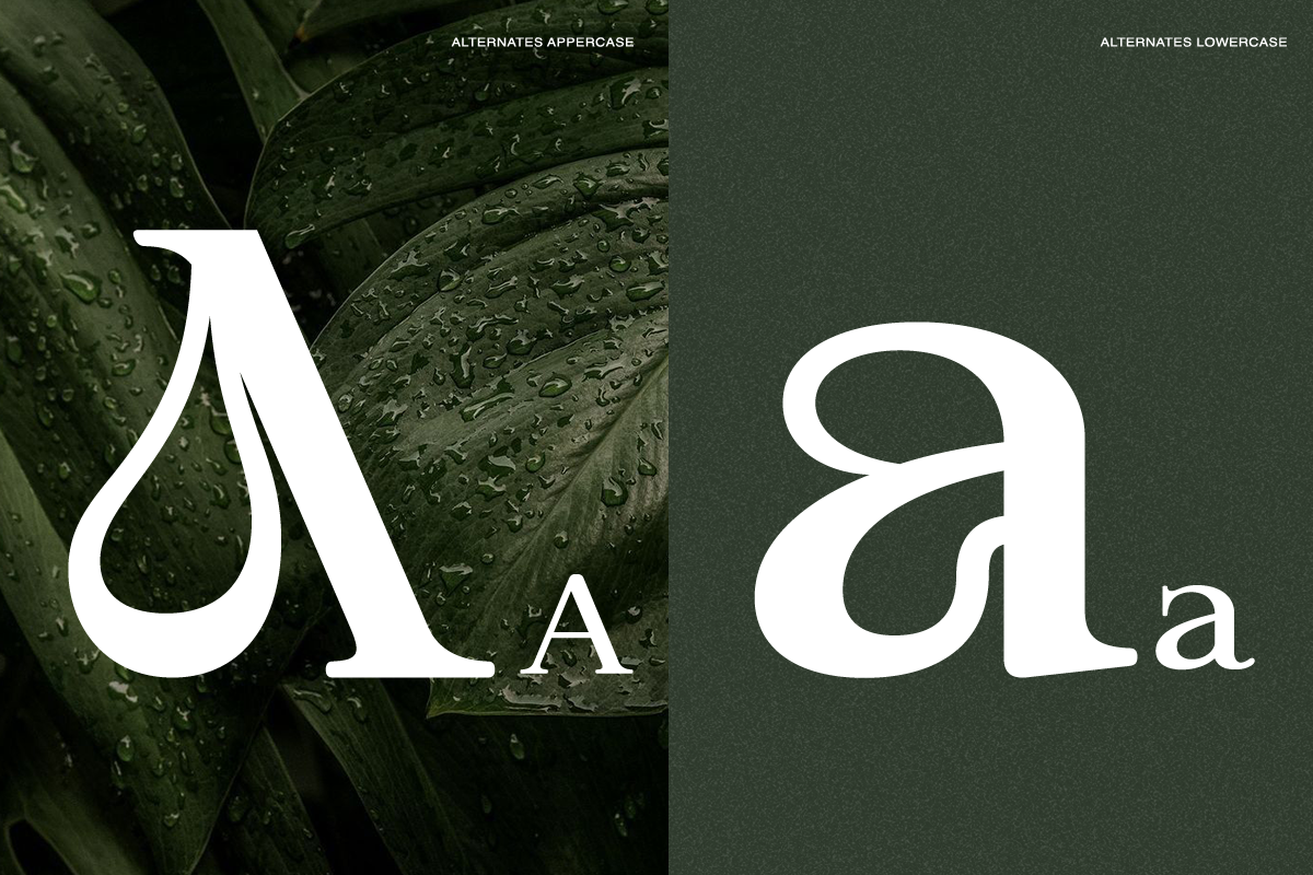 aragusha-modern-decorative-serif-font-rasio-std-3.png