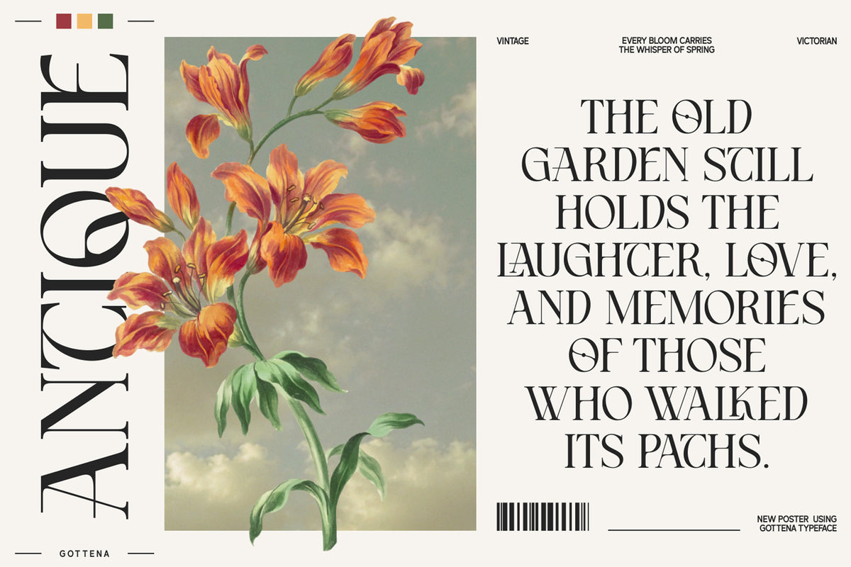 atteliora-elegant-serif-font-unknown-creator-3.jpg