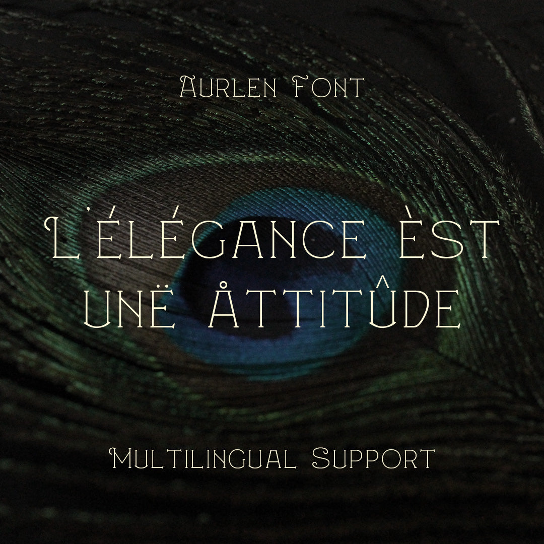 aurlen-elegant-serif-craft-supply-co-7.jpg