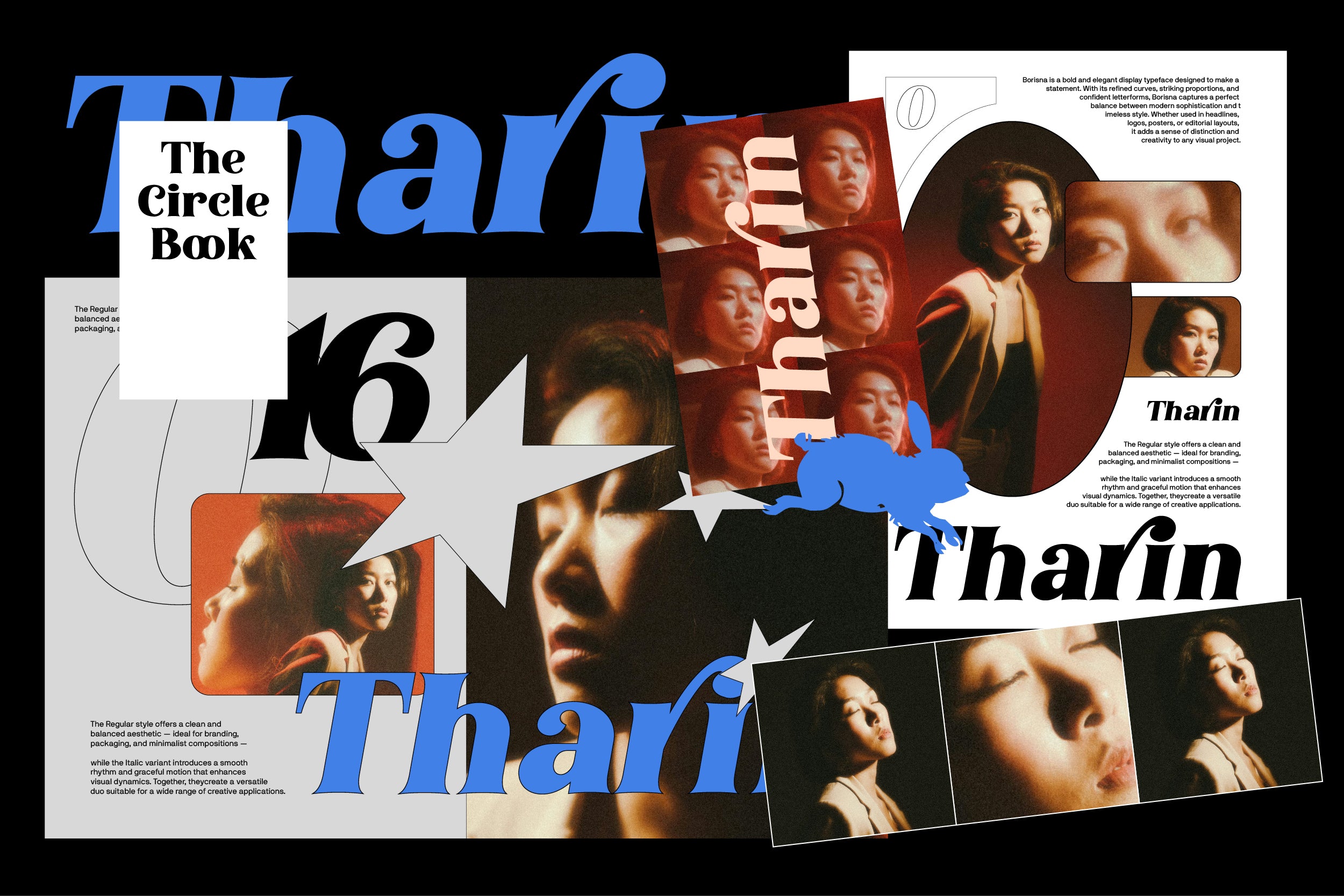 auromiya-font-elegant-display-serif-koplexs-studio-6.jpg