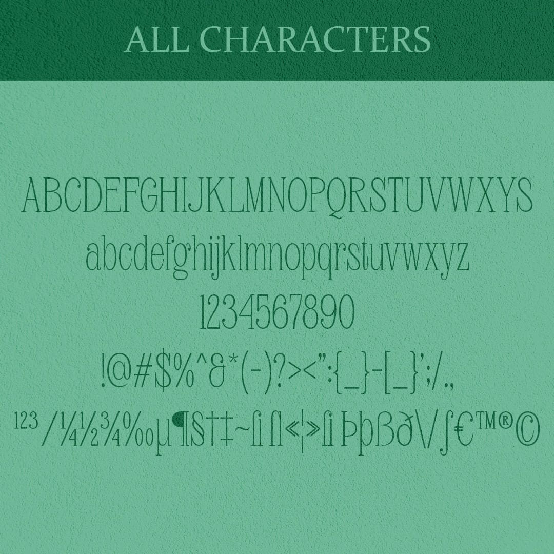 avelion-elegant-serif-craft-supply-co-8.jpg