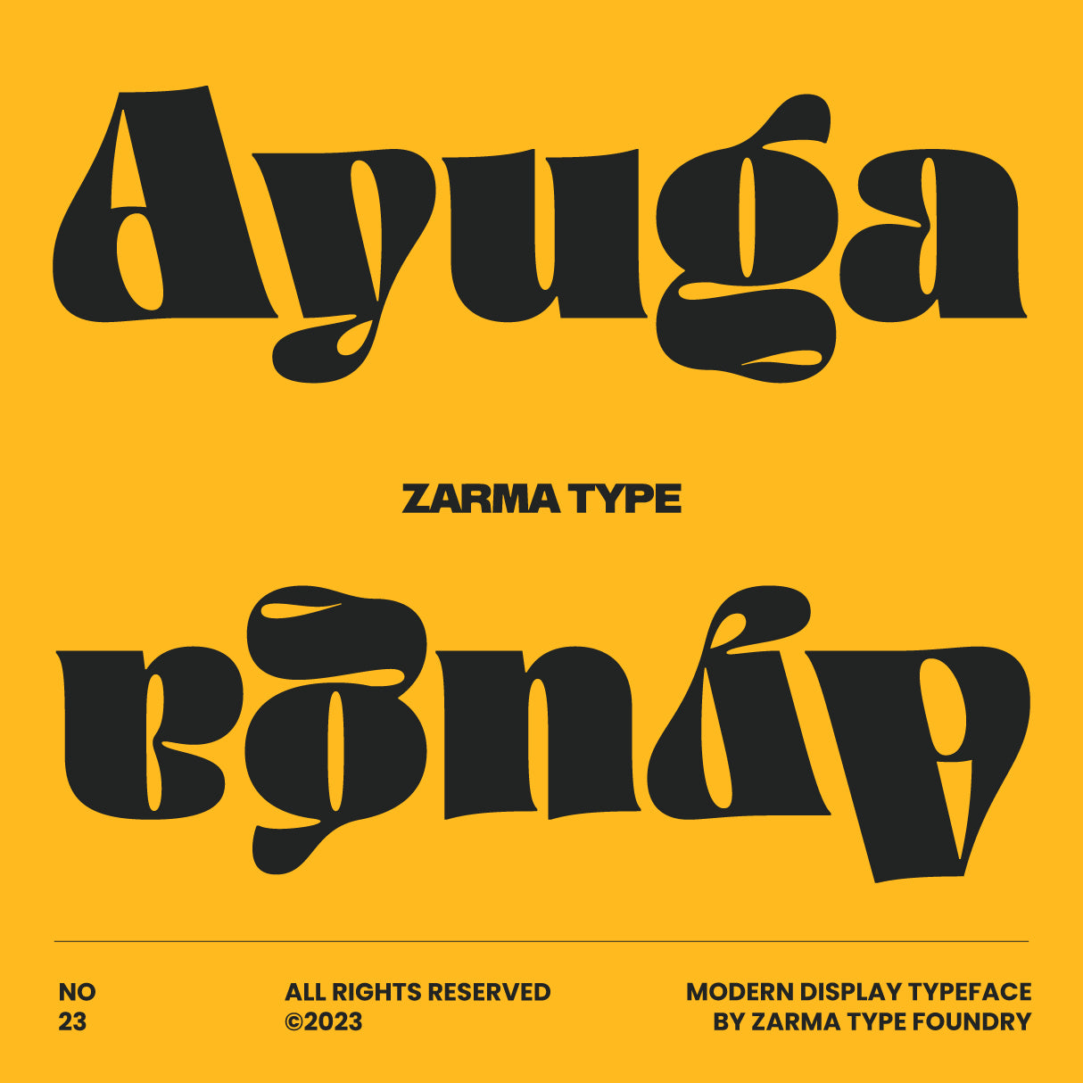 ayuga-font-zarma-type-1.png