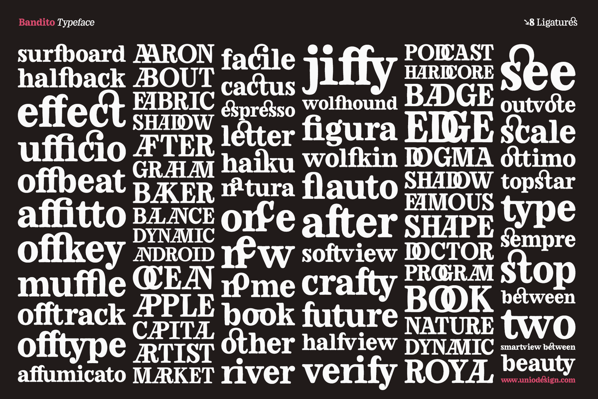 bandito-contemporary-rounded-serif-variable-font-unknown-creator-8.png