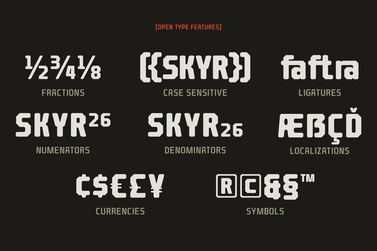 barend-brutalist-display-font-sekyra-lab-6.jpg
