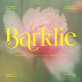 Barklie Calligraphy Script Font