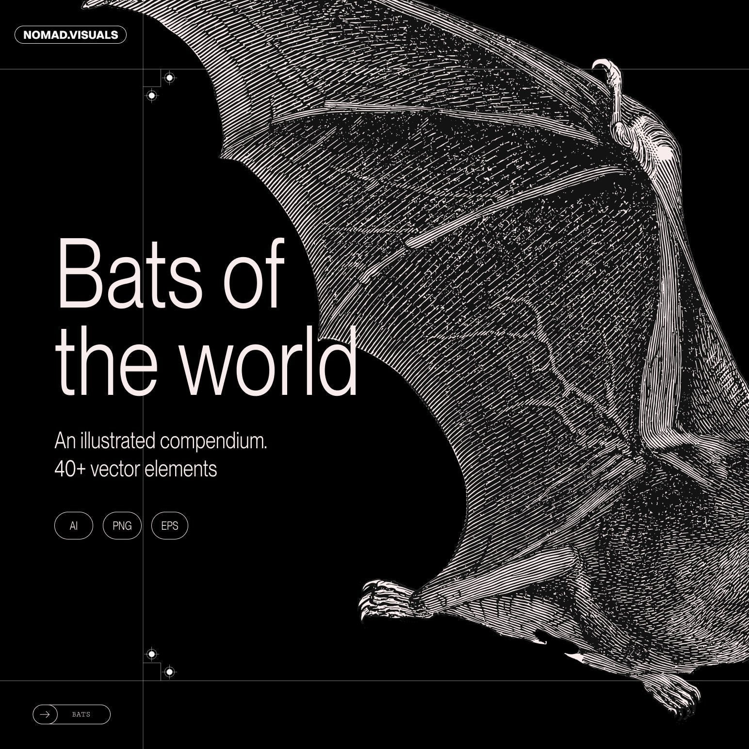 Bats of the World