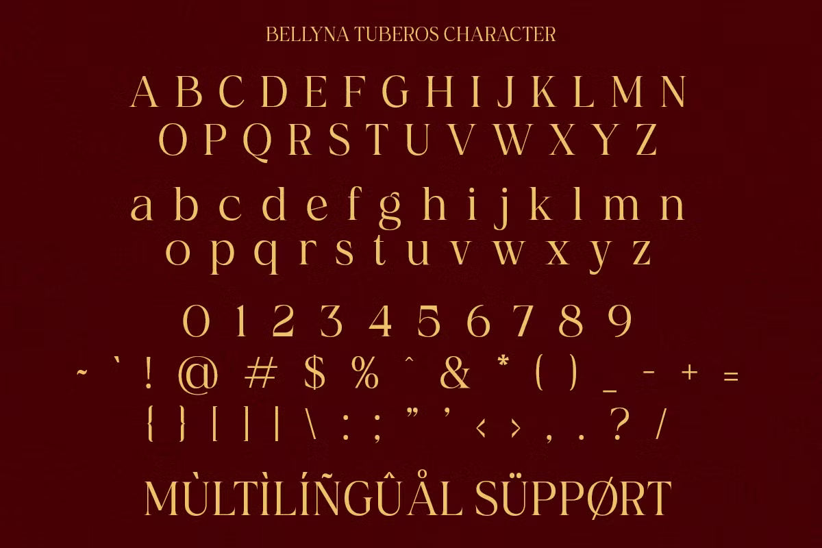 bellyna-tuberos-stylish-ligature-serif-font-ragamkata-studio-9.png
