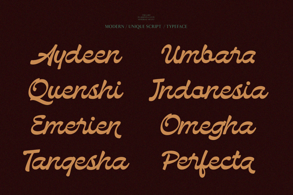 bendstag-modern-elegant-script-font-unknown-creator-20.png