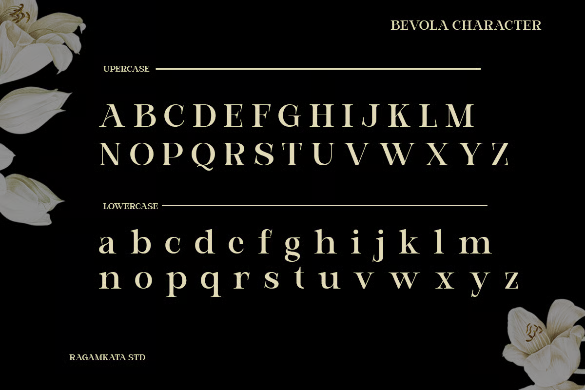 bevola-modern-elegant-serif-font-unknown-creator-7.png