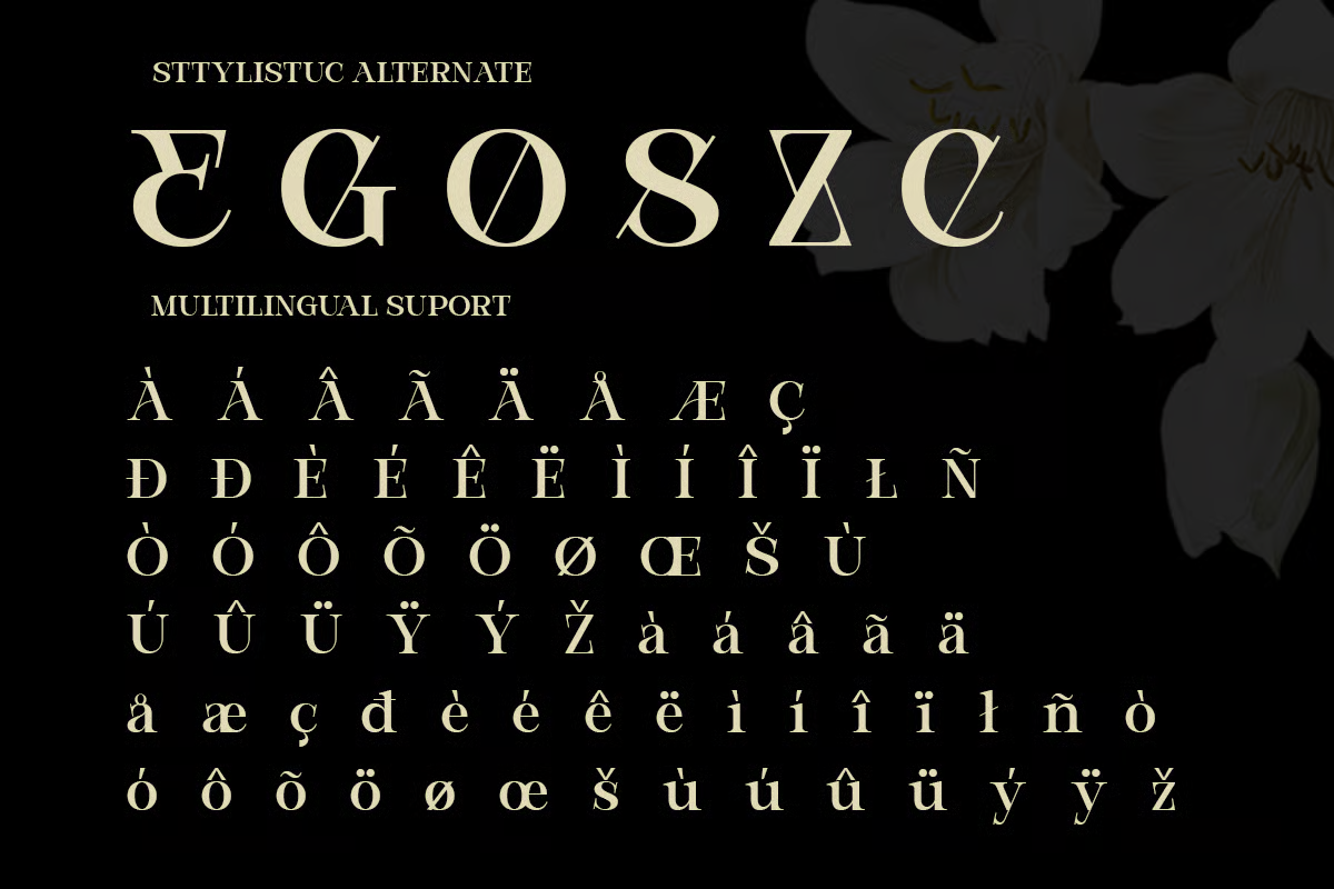 bevola-modern-elegant-serif-font-unknown-creator-8.png