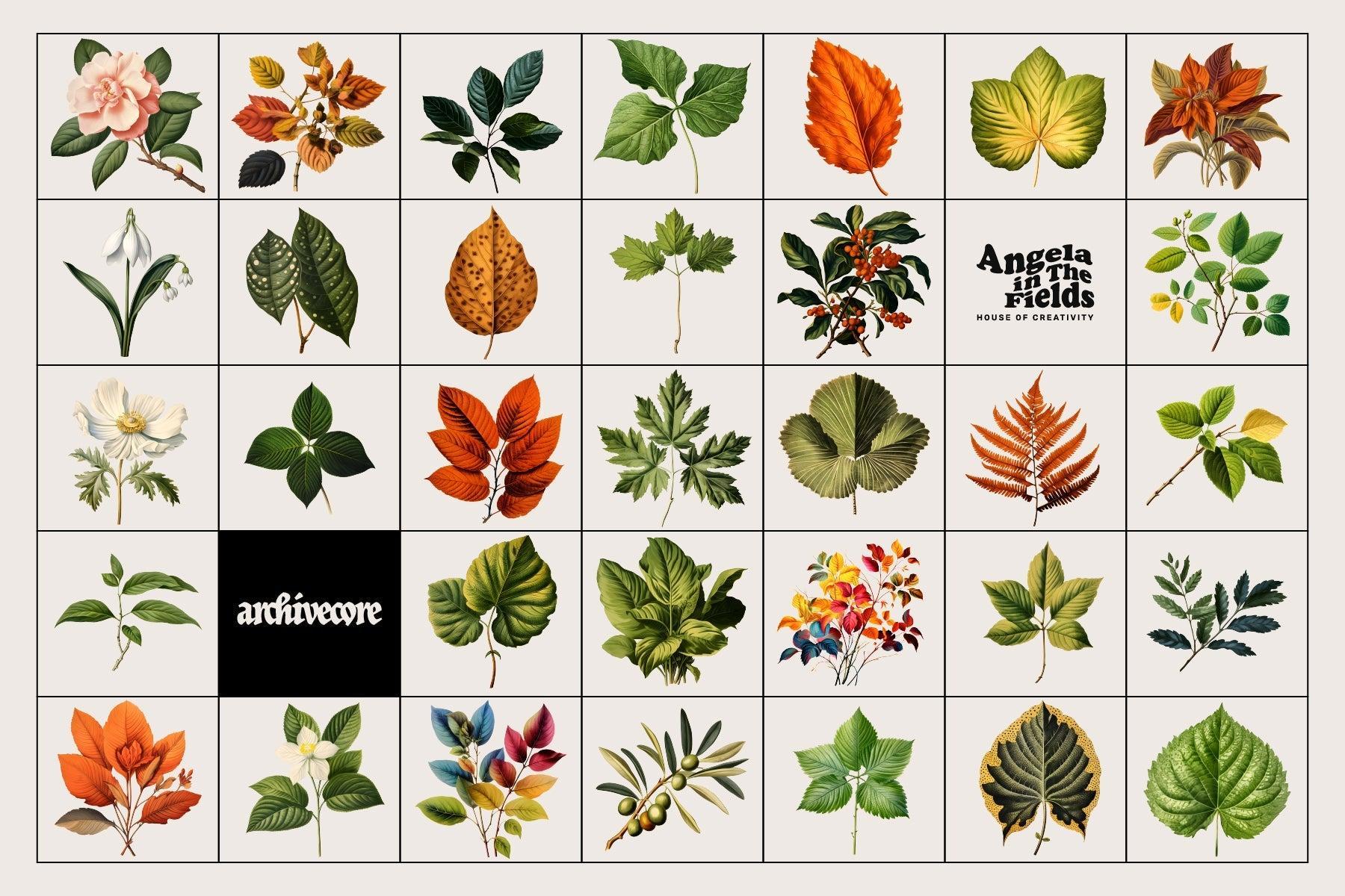 BOOK OF FLOWERS 2 Clipart