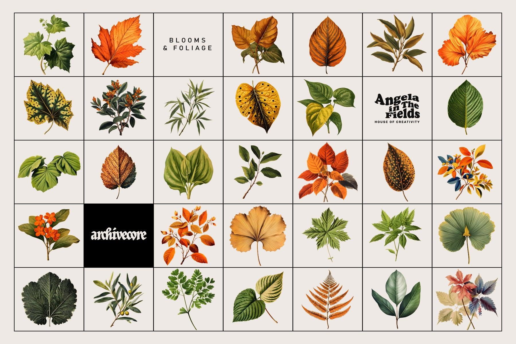 BOOK OF FLOWERS 2 Clipart