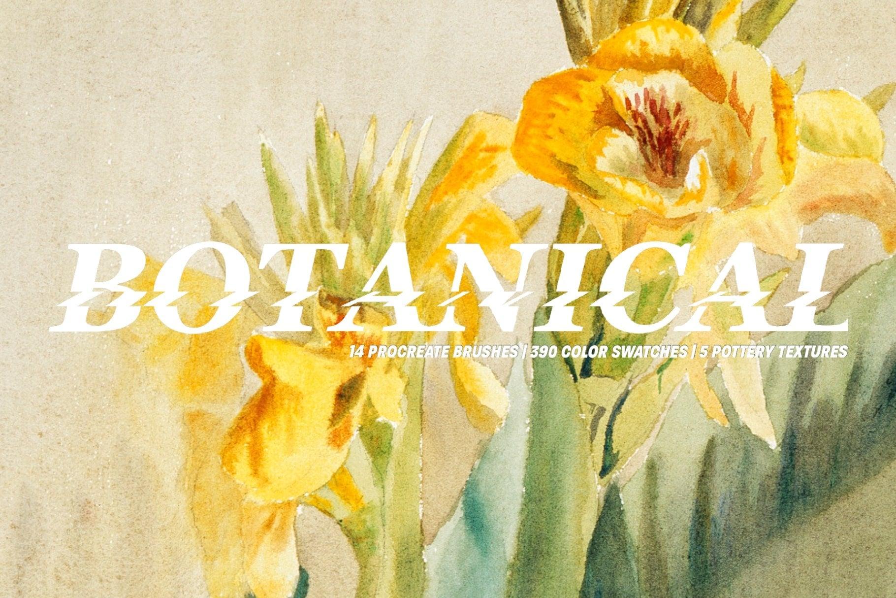 Botanical Watercolor Procreate Kit