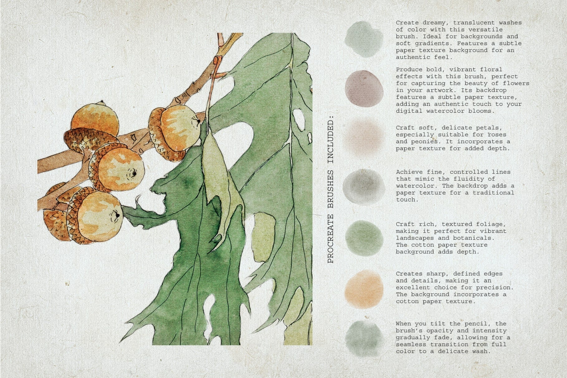 Botanical Watercolor Procreate Kit