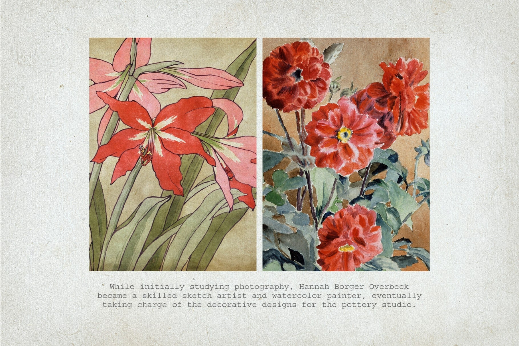 Botanical Watercolor Procreate Kit