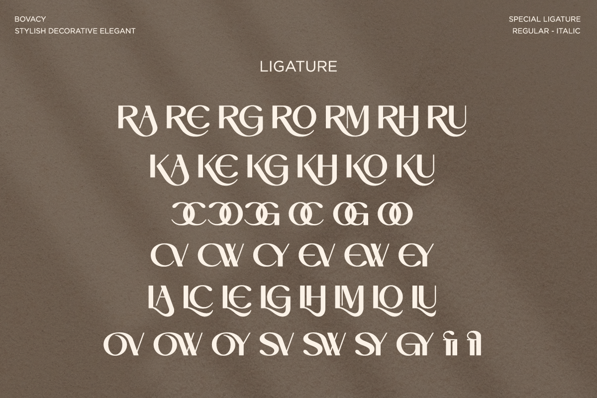 bovacy-modern-elegant-serif-say-studio-18.png