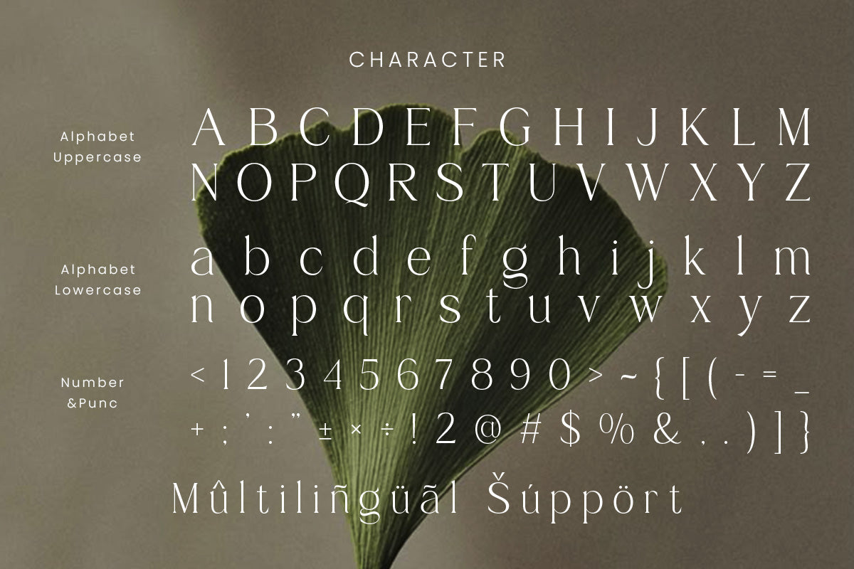 brikey-moura-timeless-serif-typeface-roomspace-creative-lab-10.jpg