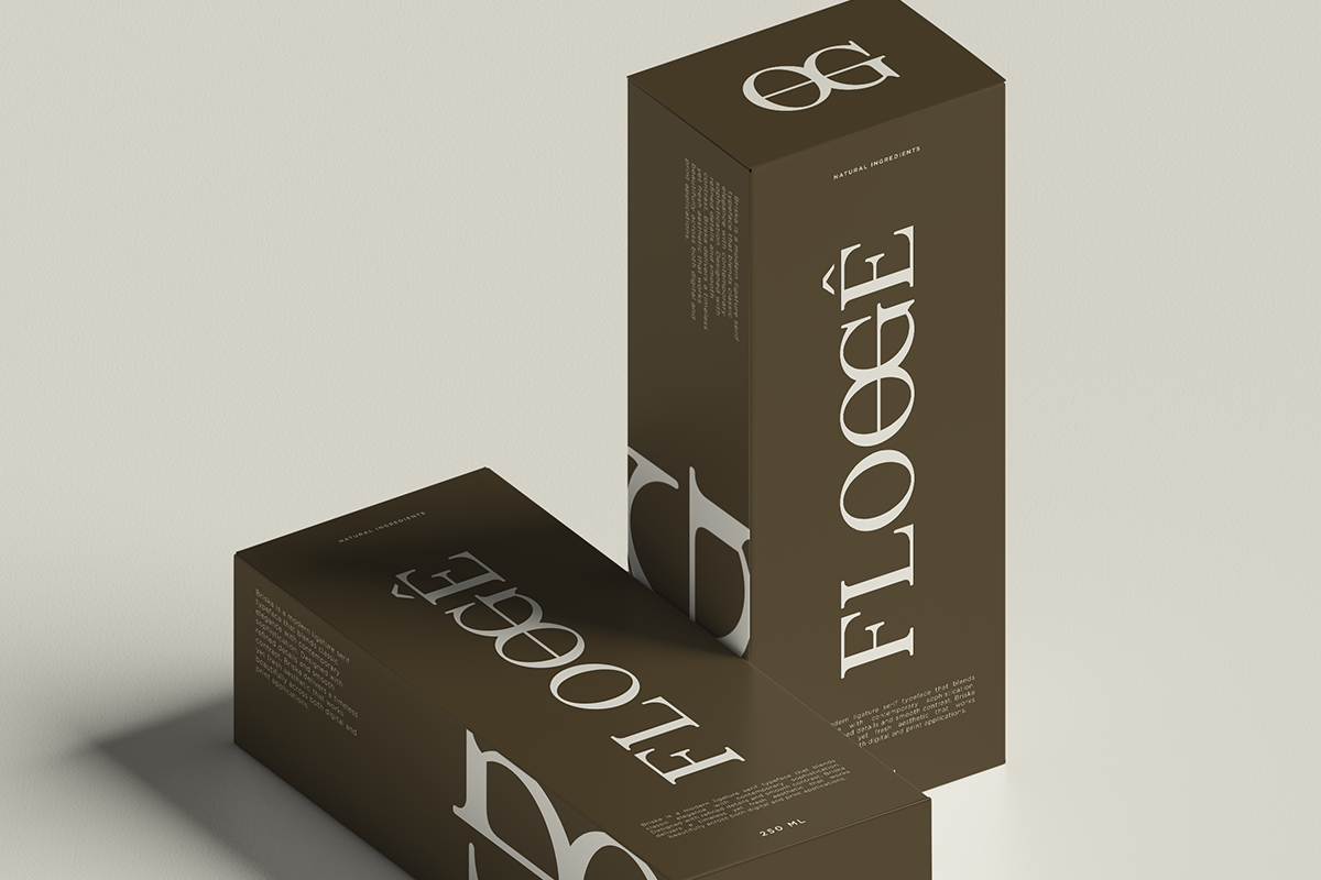 briska-modern-ligature-serif-font-ragamkata-studio-7.png