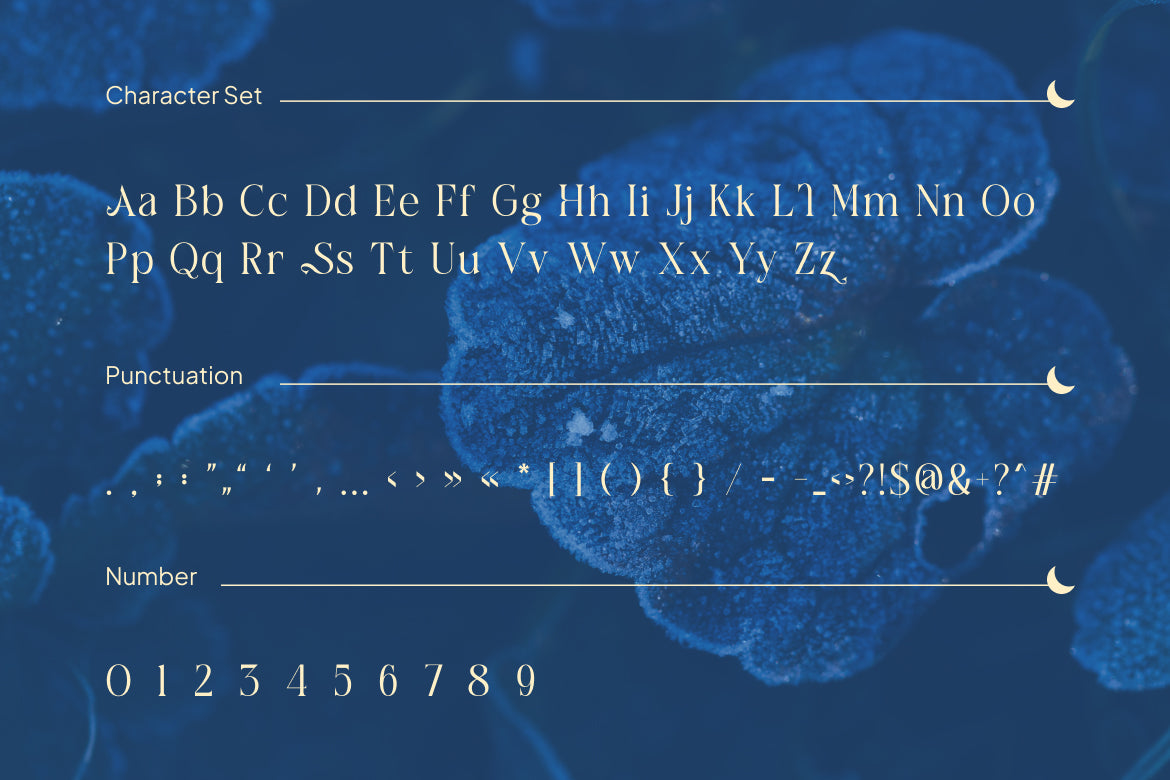 cagiste-elegant-luxury-serif-font-rasio-std-2.jpg
