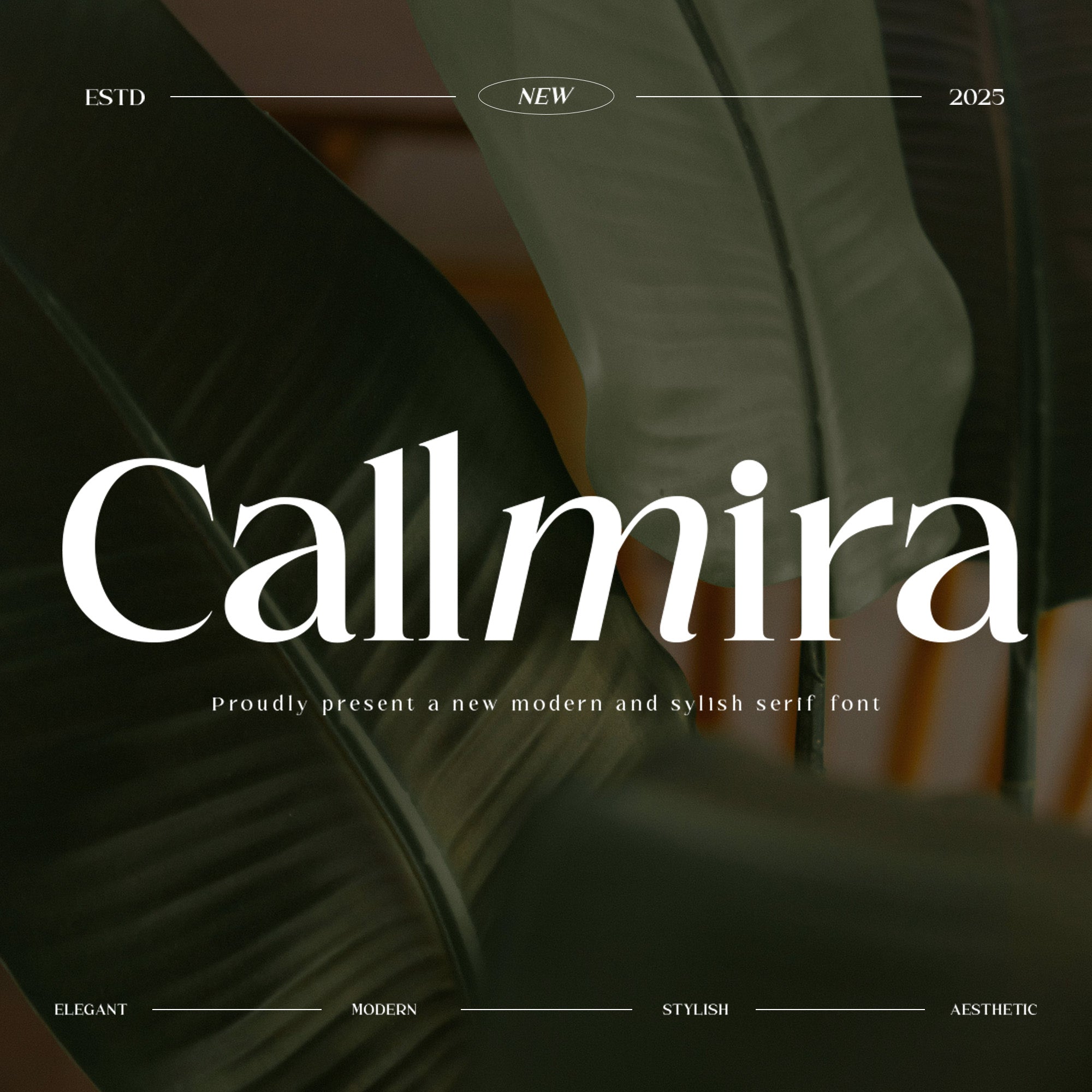 callmira-minimal-modern-serif-font-roomspace-creative-lab-1.jpg