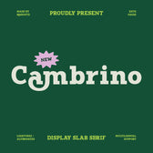 Cambrino Display Slab Serif Font