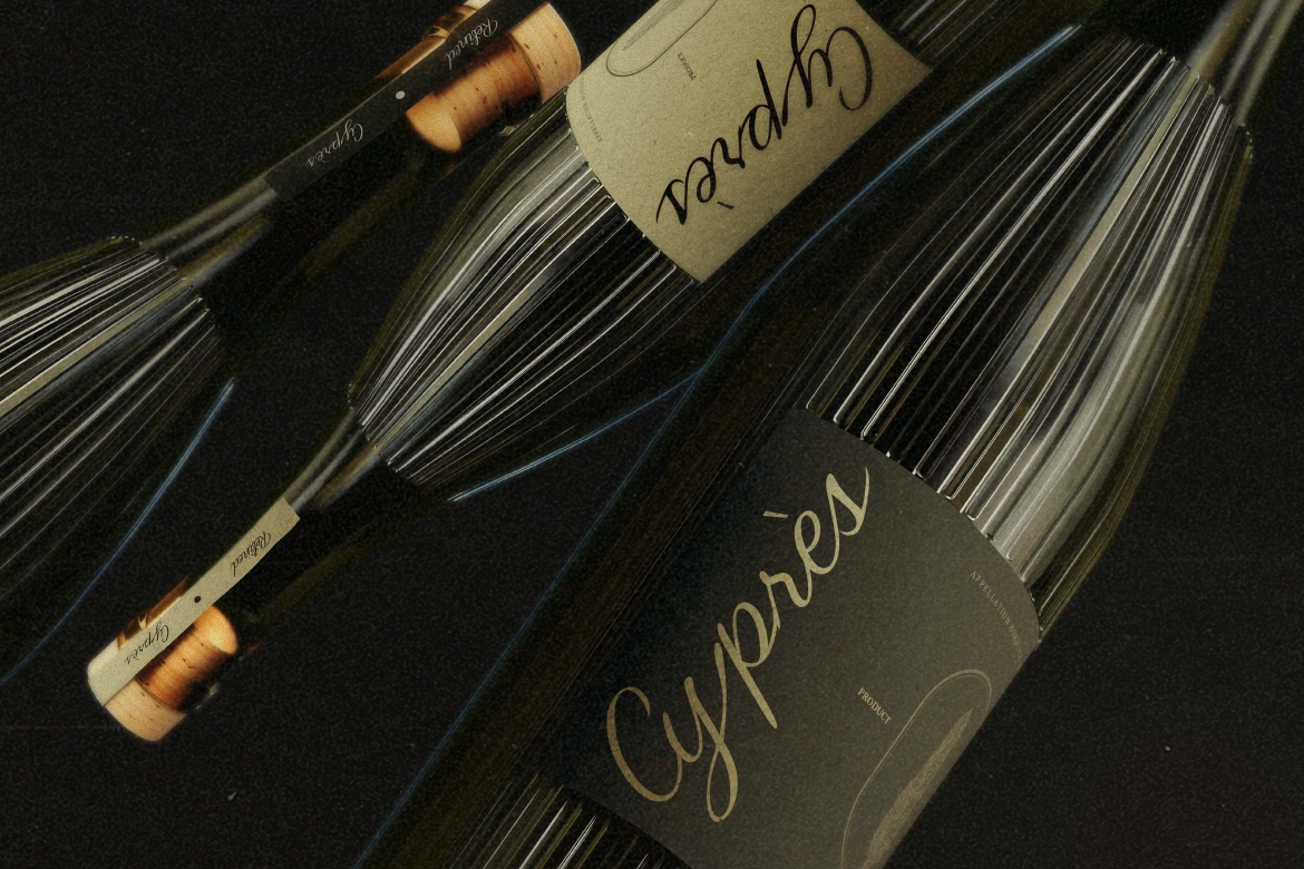 carmeline-elegance-script-font-rasio-std-4.png
