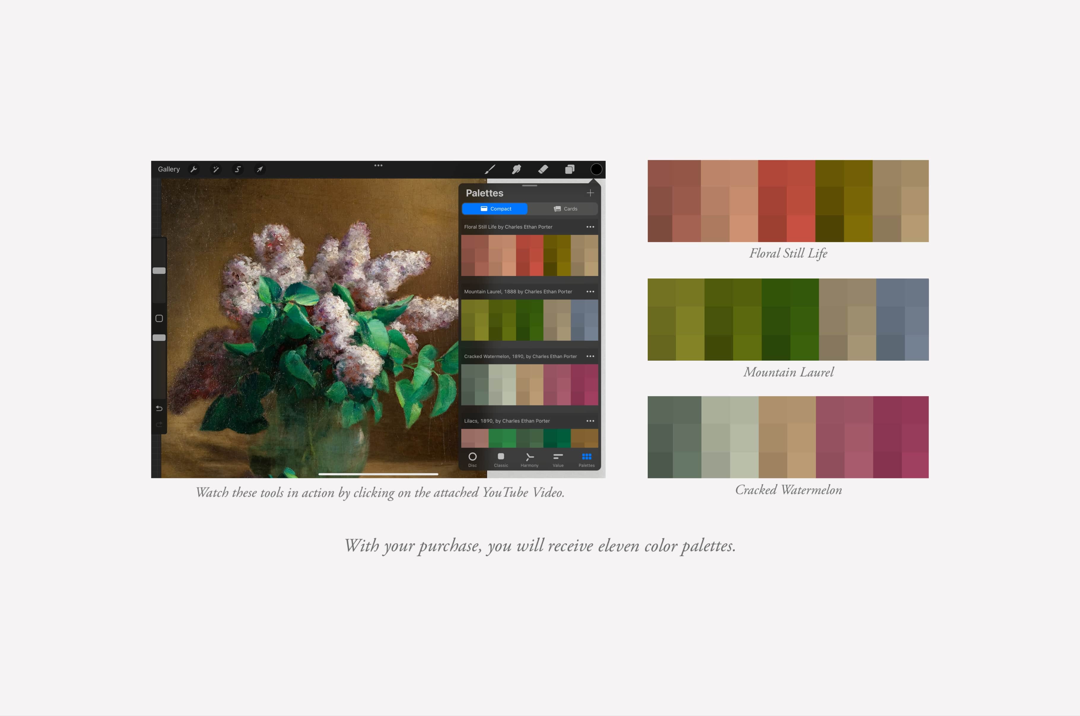 Charles Ethan Porter Procreate Kit