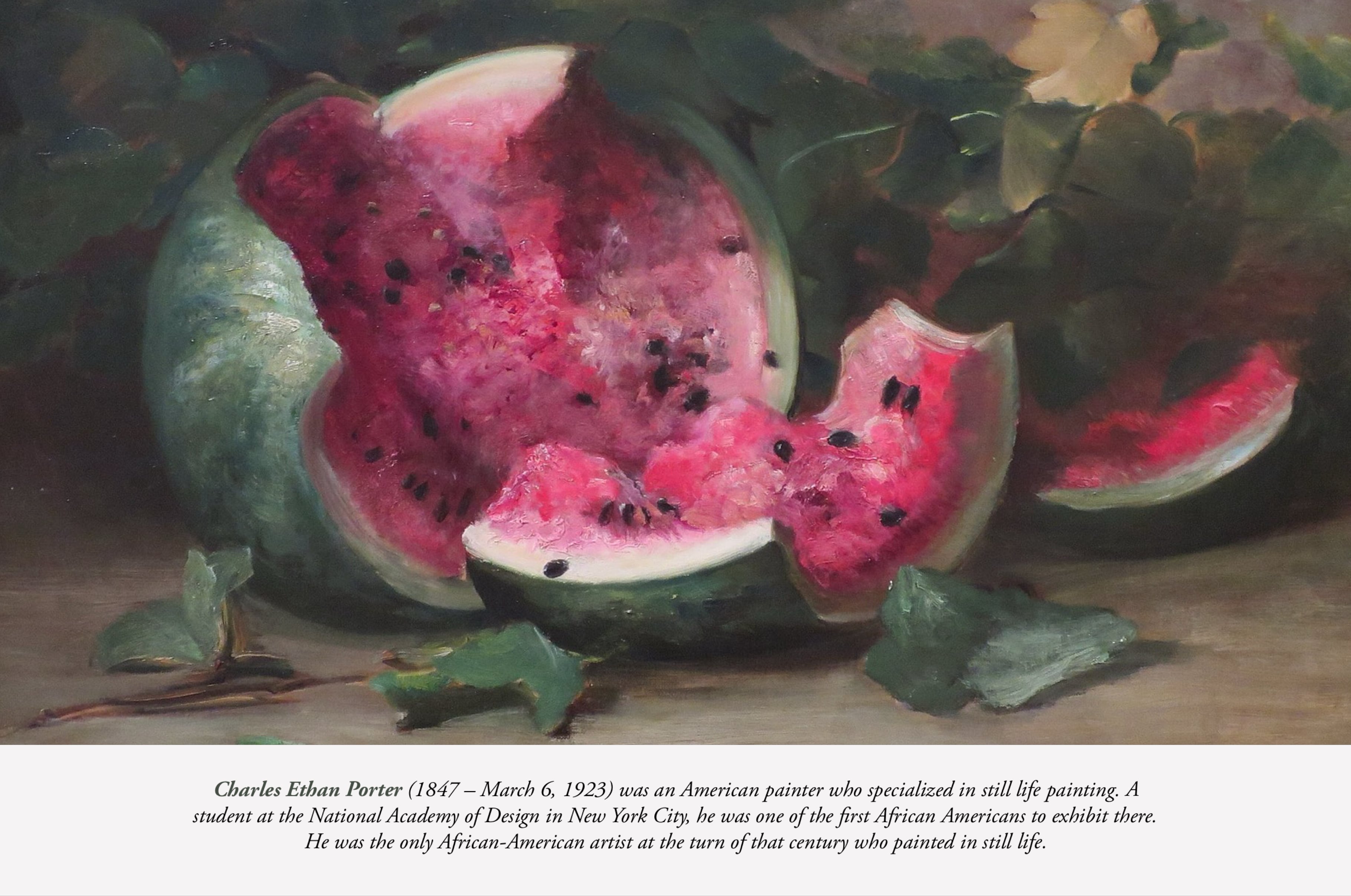 Charles Ethan Porter Procreate Kit