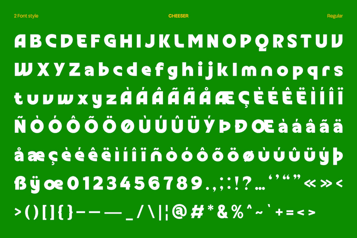 cheeser-stylistic-display-font-casloop-studio-4.jpg