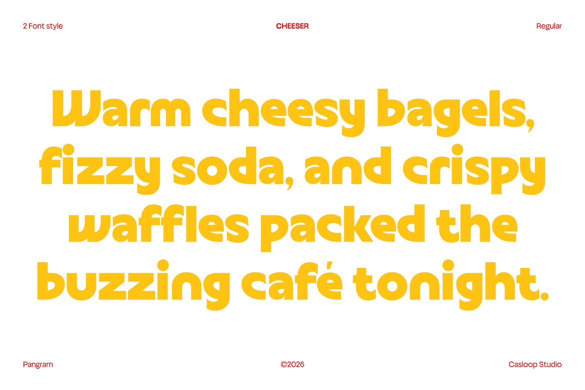 cheeser-stylistic-display-font-casloop-studio-5.jpg