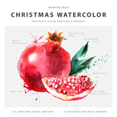 Christmas Watercolor Procreate Kit