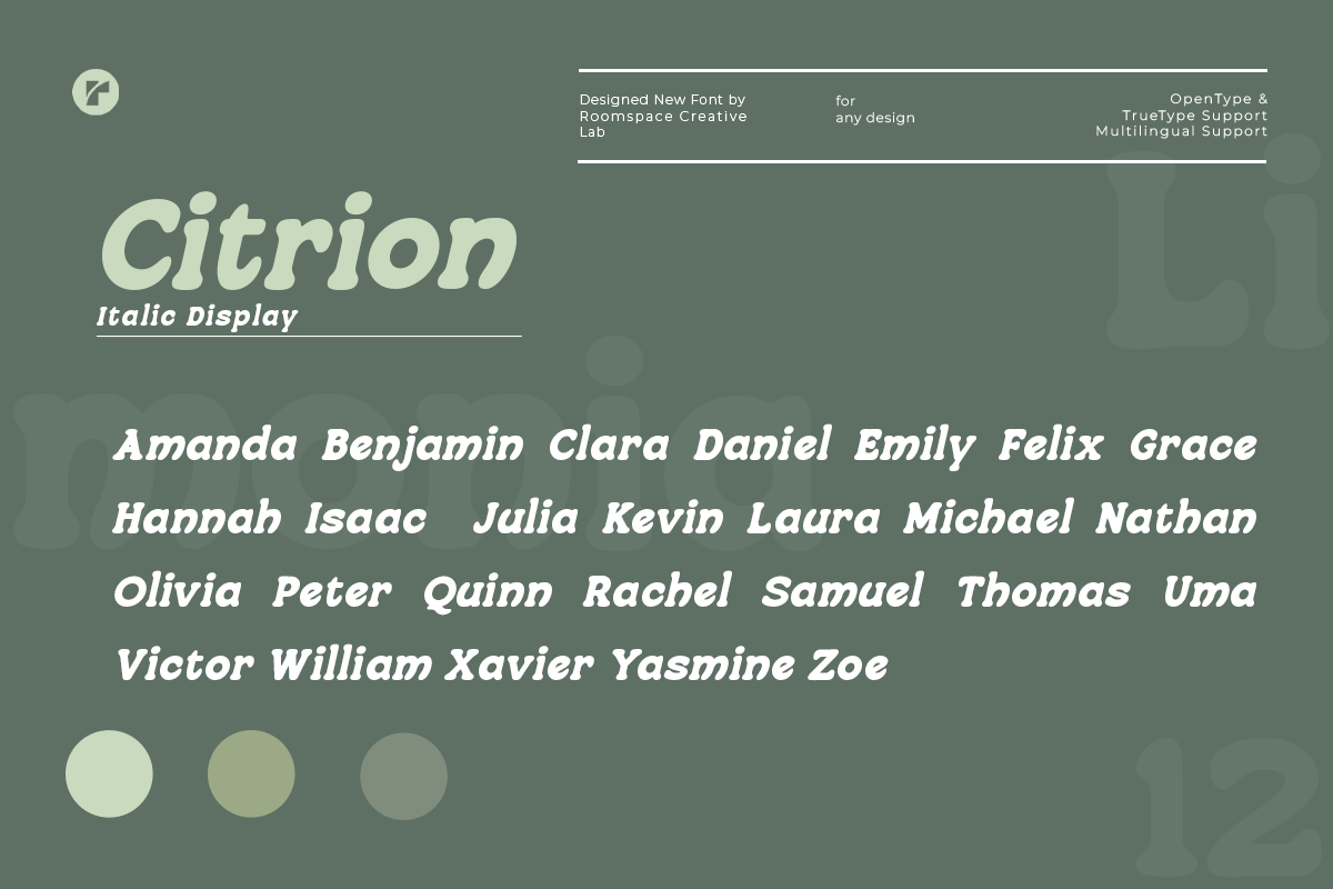 citrion-bold-groovy-display-typeface-roomspace-creative-lab-9.png
