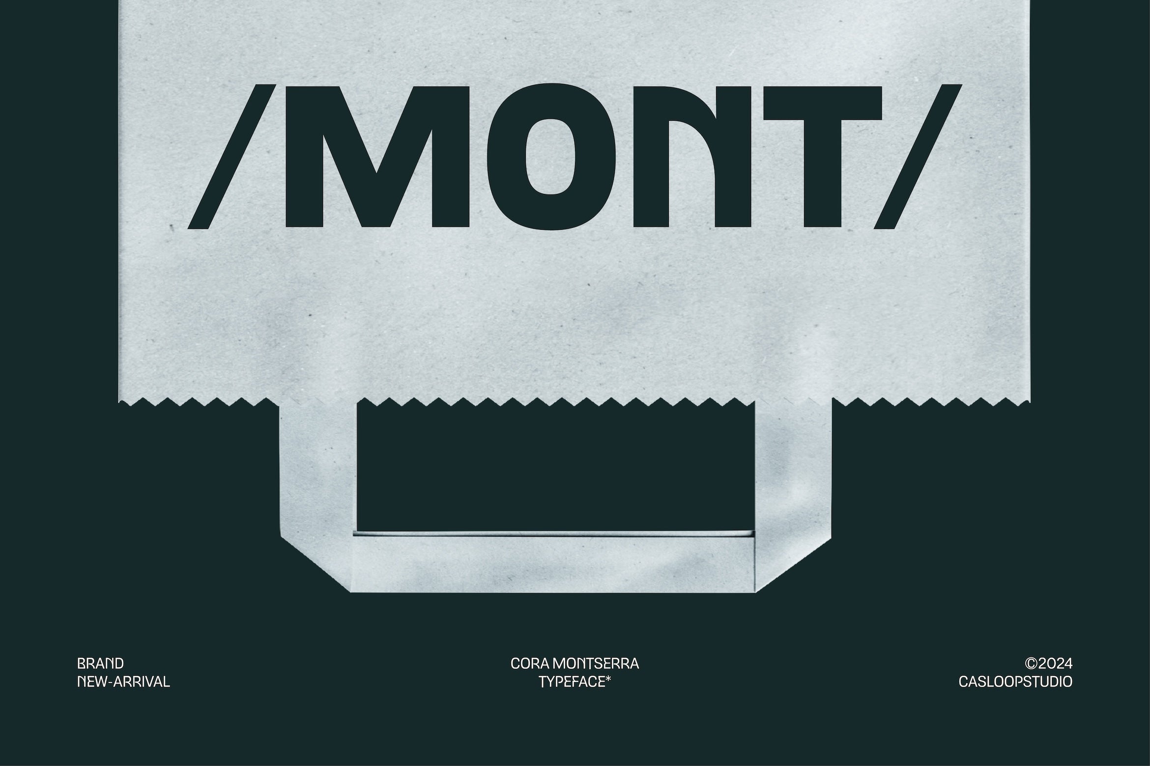cora-montserra-modern-sans-casloop-studio-8.jpg