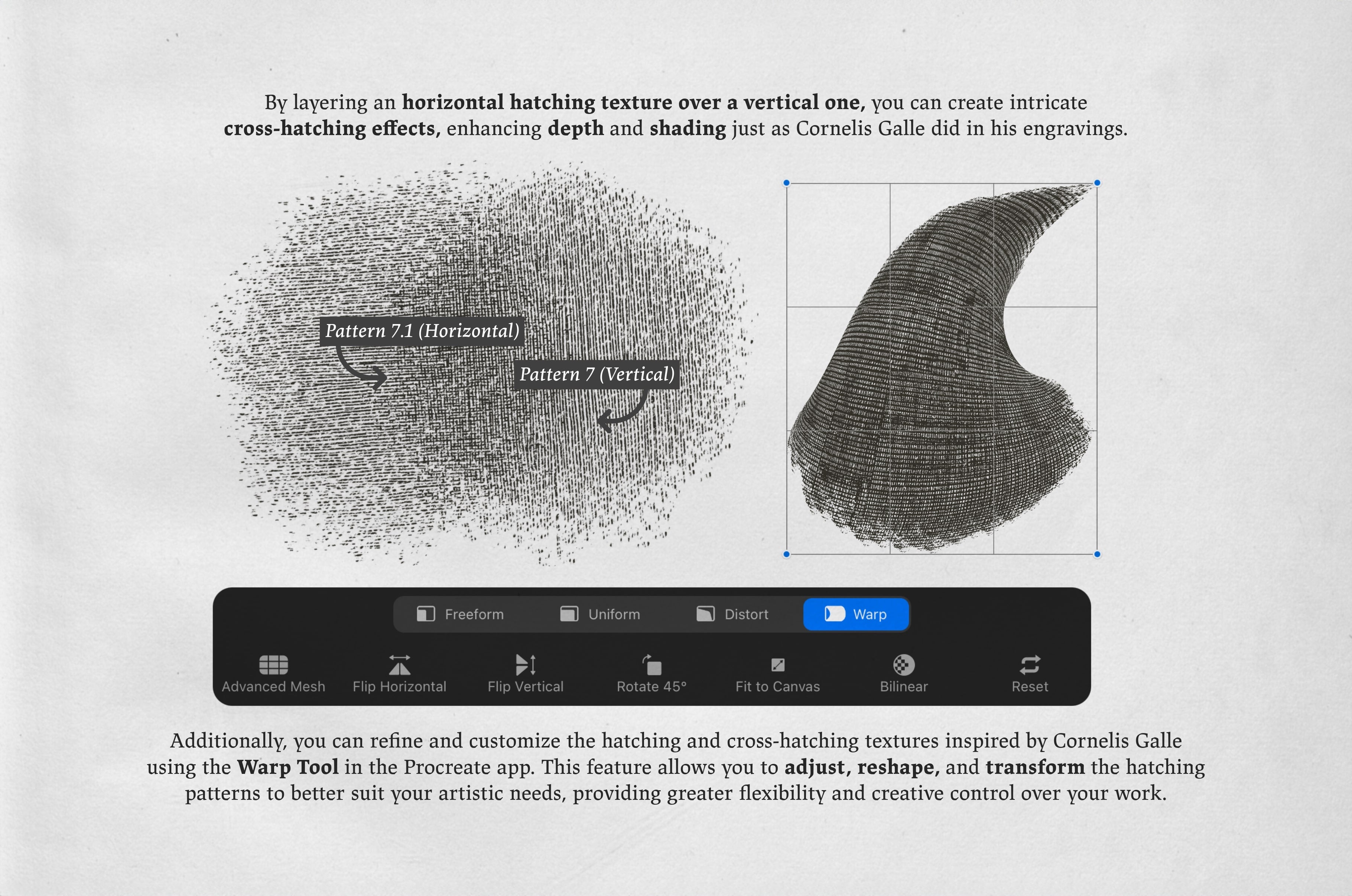 Cornelis Galle Procreate Kit