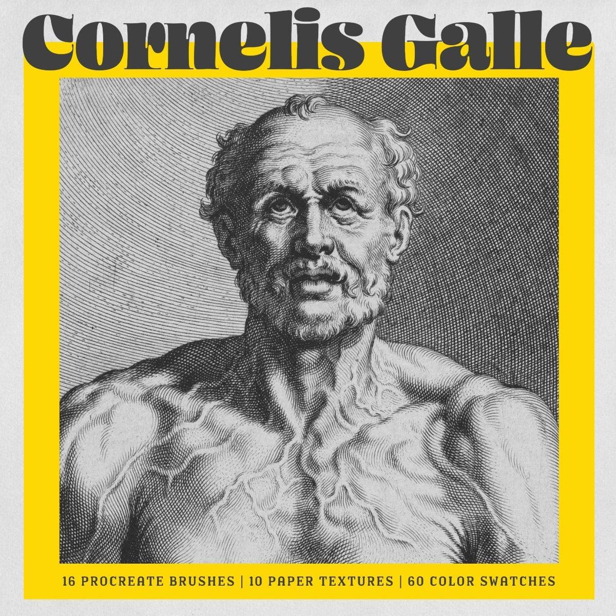 Cornelis Galle Procreate Kit