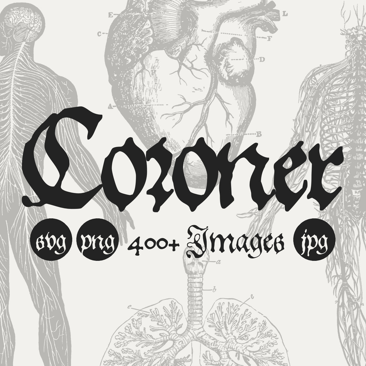 Coroner Graphic Pack by Disrupted Studio, preview 1