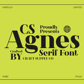 CS Agnes – Serif Font