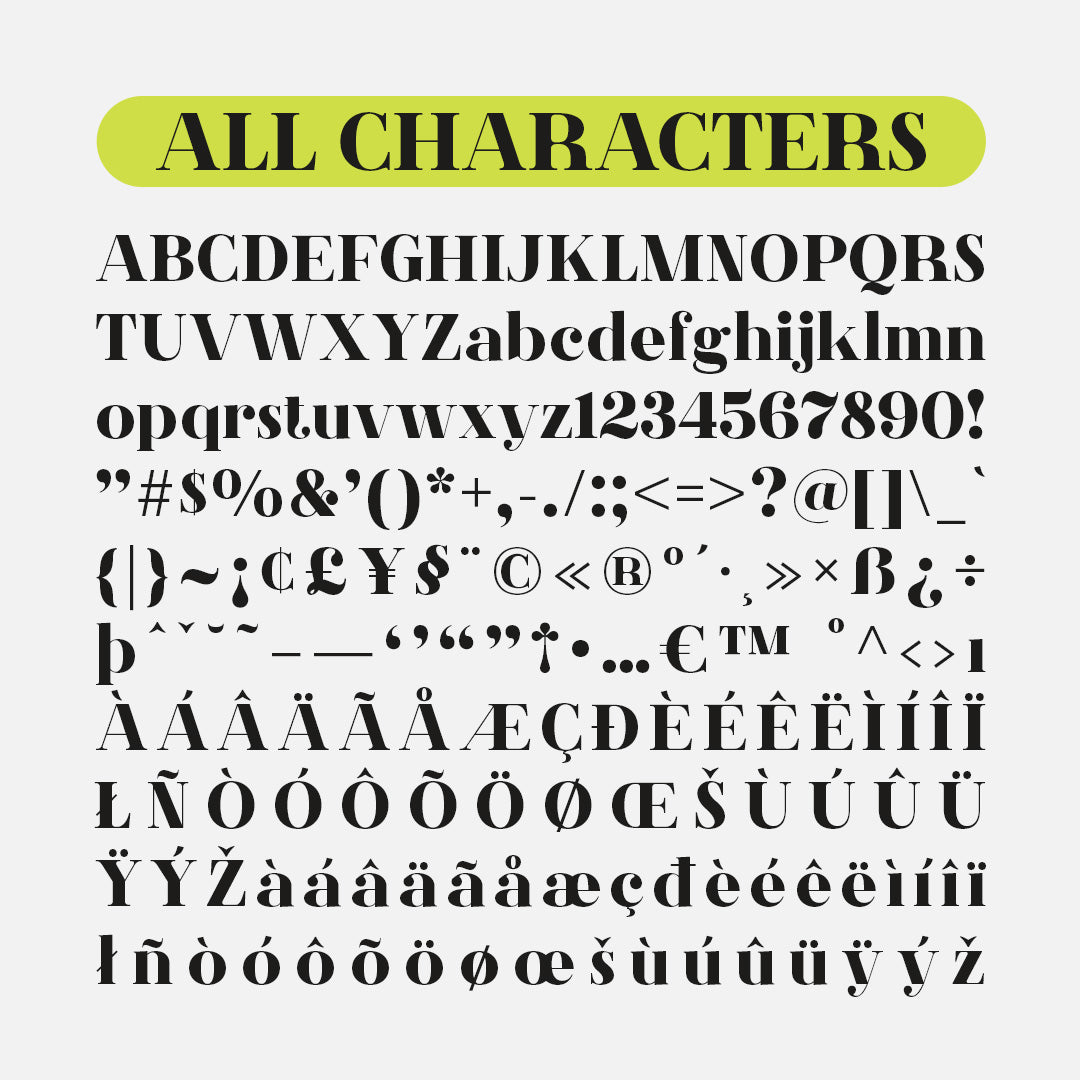 cs-agnes-serif-font-craft-supply-co-8.jpg