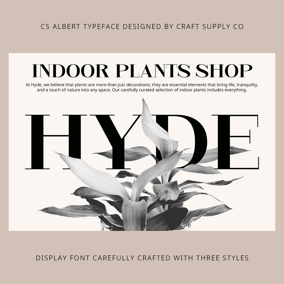 cs-albert-classic-font-craft-supply-co-5.jpg