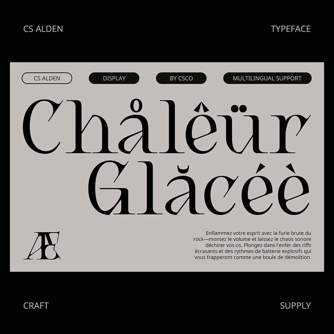 cs-alden-display-serif-font-craft-supply-co-6.jpg