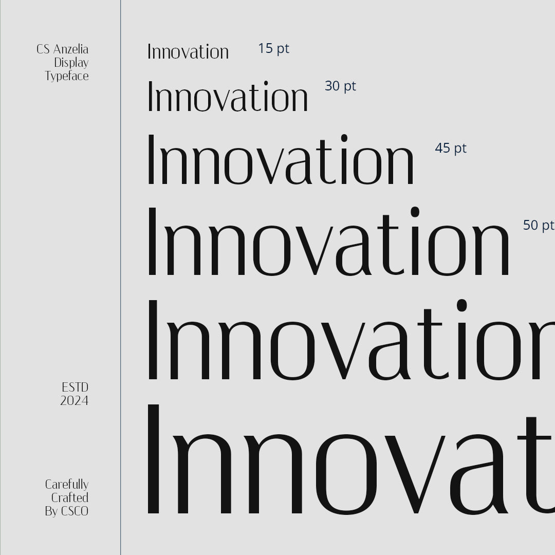 cs-anzelia-modern-font-unknown-creator-5.jpg