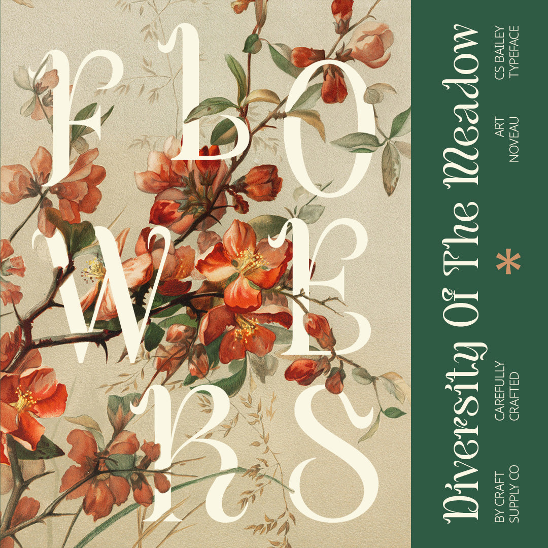 cs-bailey-art-nouveau-font-craft-supply-co-2.jpg